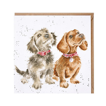 Wrendale dogs card