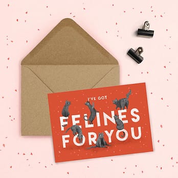 I've Got Felines For You Love Card