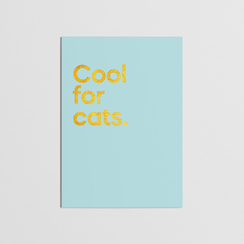 Squeeze Cool For Cats Card