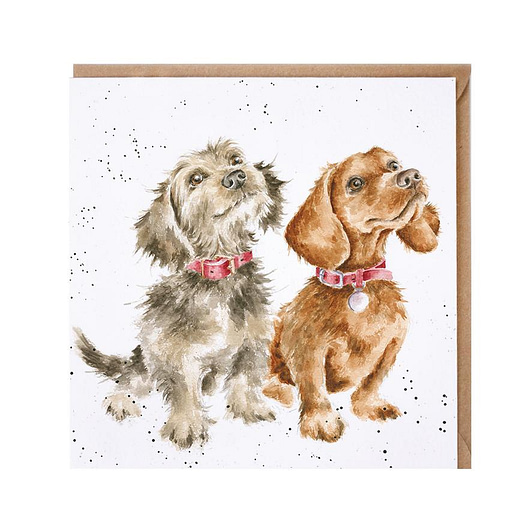 Wrendale Two Dogs Card