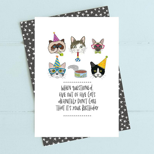 Five Out Of Five Cats Don’t Care It’s Your Birthday Card from Dandelion Stationery
