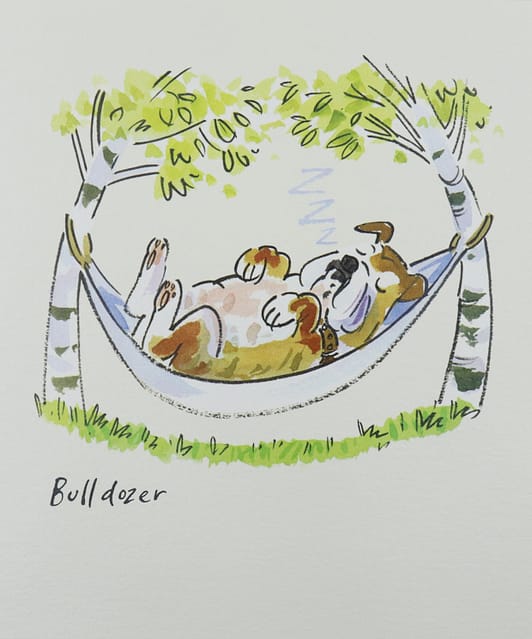 Bulldozer bulldog card